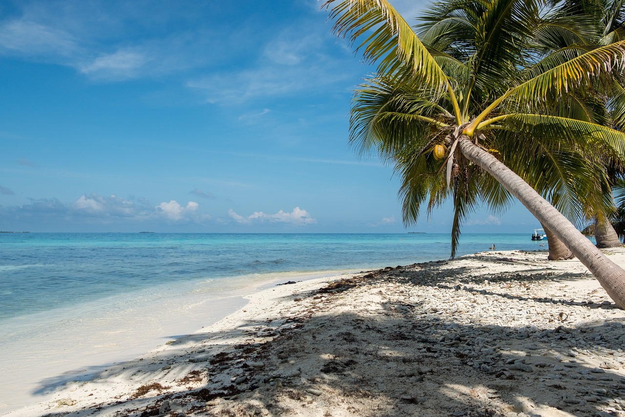 Ultimate 7-Day Belize and Yucatan Adventure